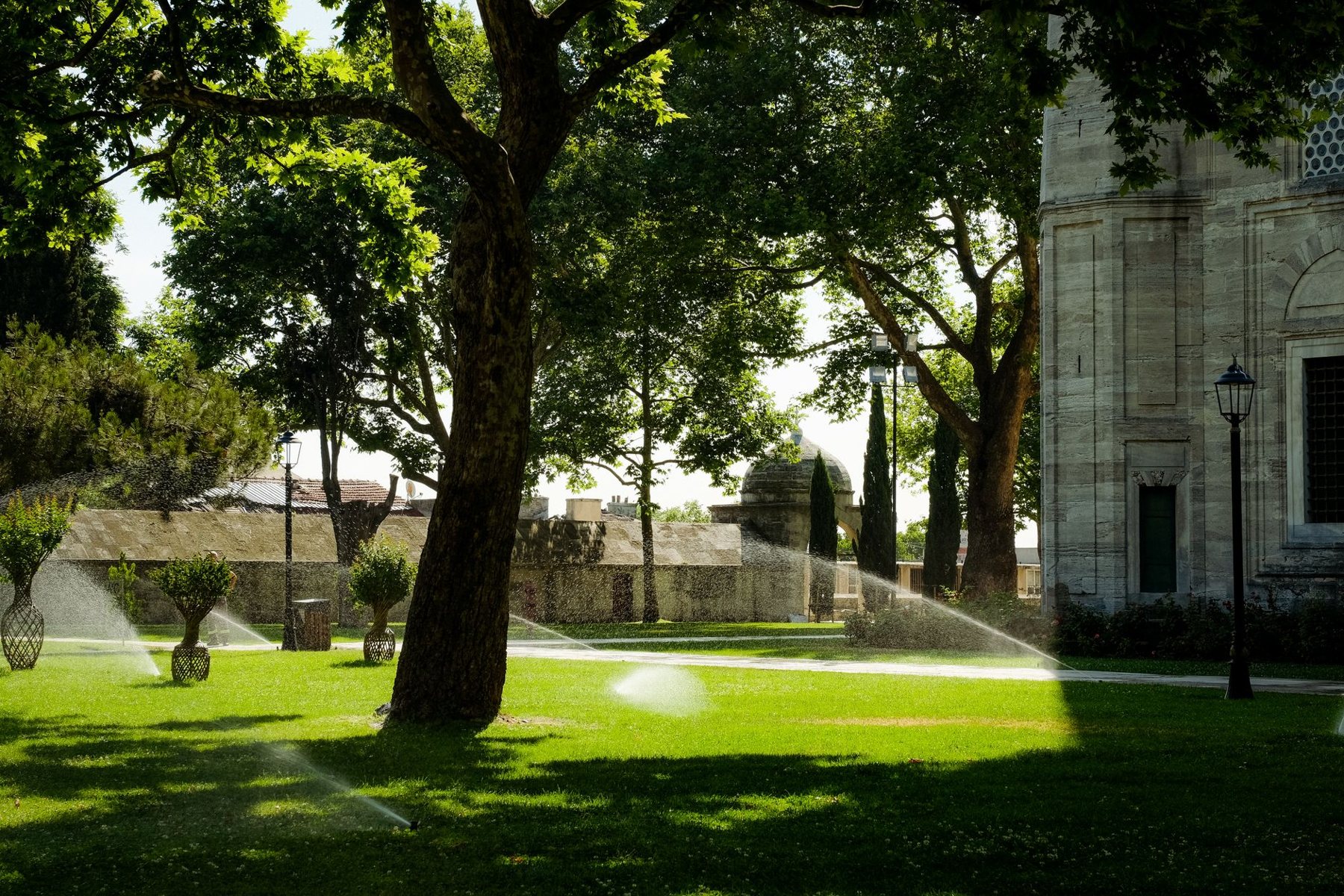 Sprinkler & Drip Repair in Phoenix AZ