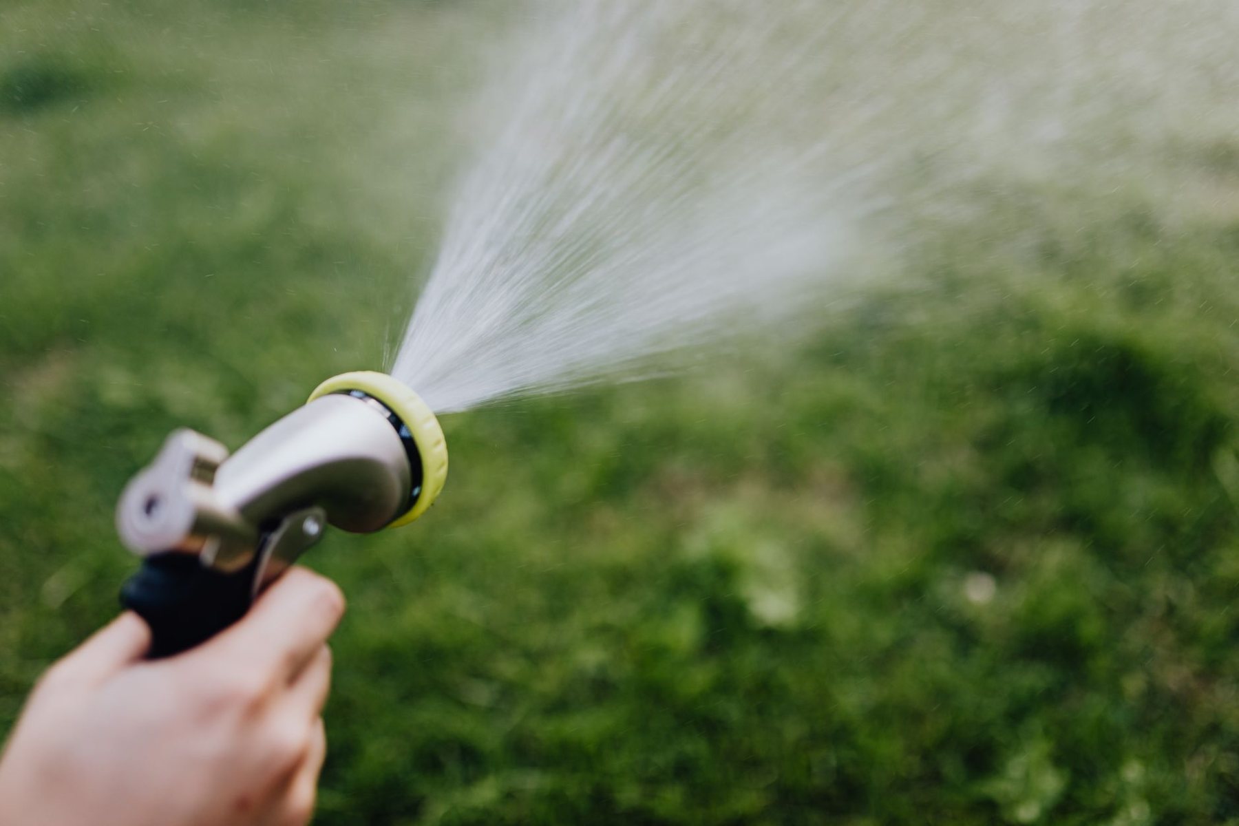 Weed Control in Phoenix AZ