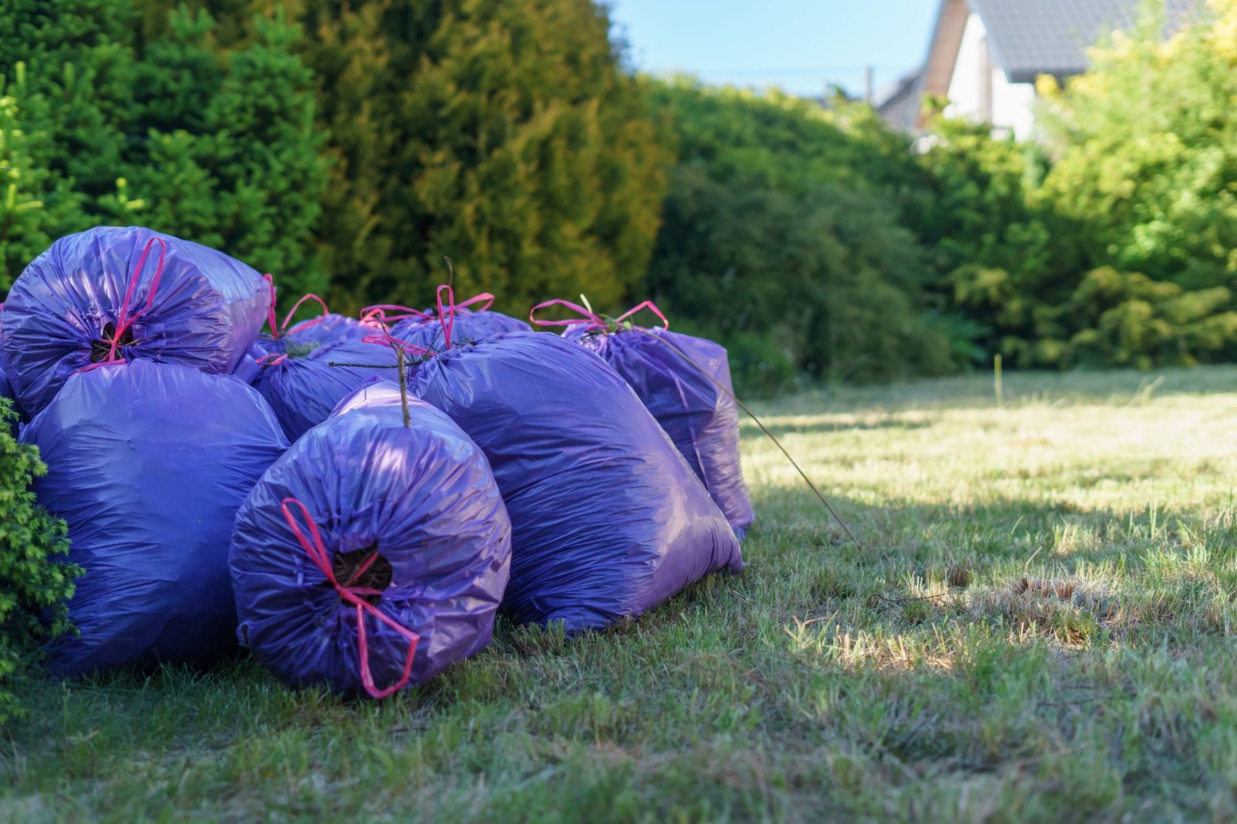 Yard Cleanups in Phoenix AZ