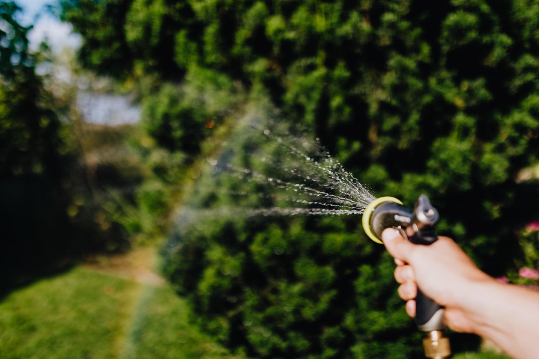 Sprinklers dialed in in Phoenix, AZ